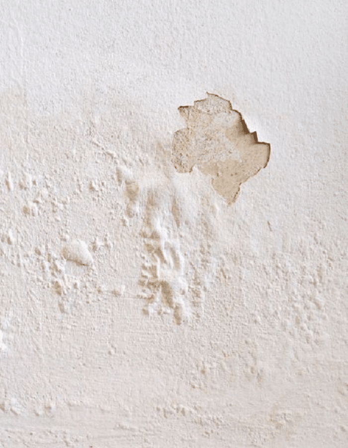 Sơn hiệu ứng có giảm chất lượng khi mặt bằng thi công không bằng phẳng ?