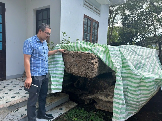 Vụ việc gỗ đào dưới ruộng bị công an tạm giữ: Đã đấu giá nhiều lần nhưng không có người mua