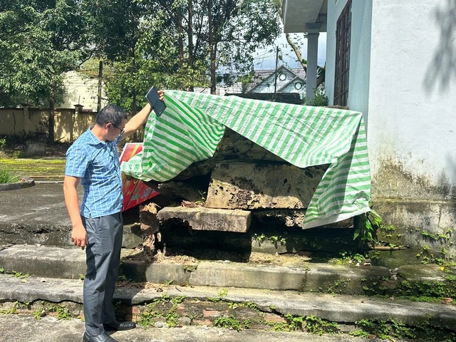 Vụ việc gỗ đào dưới ruộng bị công an tạm giữ: Đã đấu giá nhiều lần nhưng không có người mua