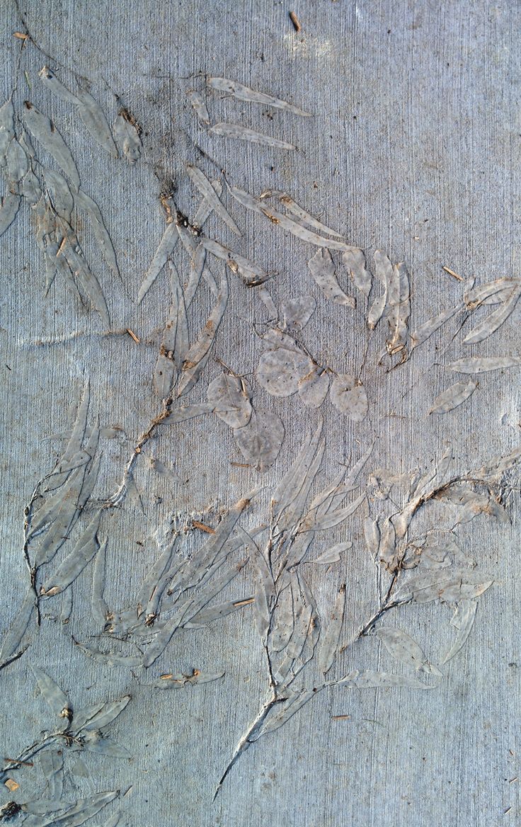 3 CÁCH KẾT HỢP SƠN HIỆU ỨNG & VẬT LIỆU TỰ NHIÊN